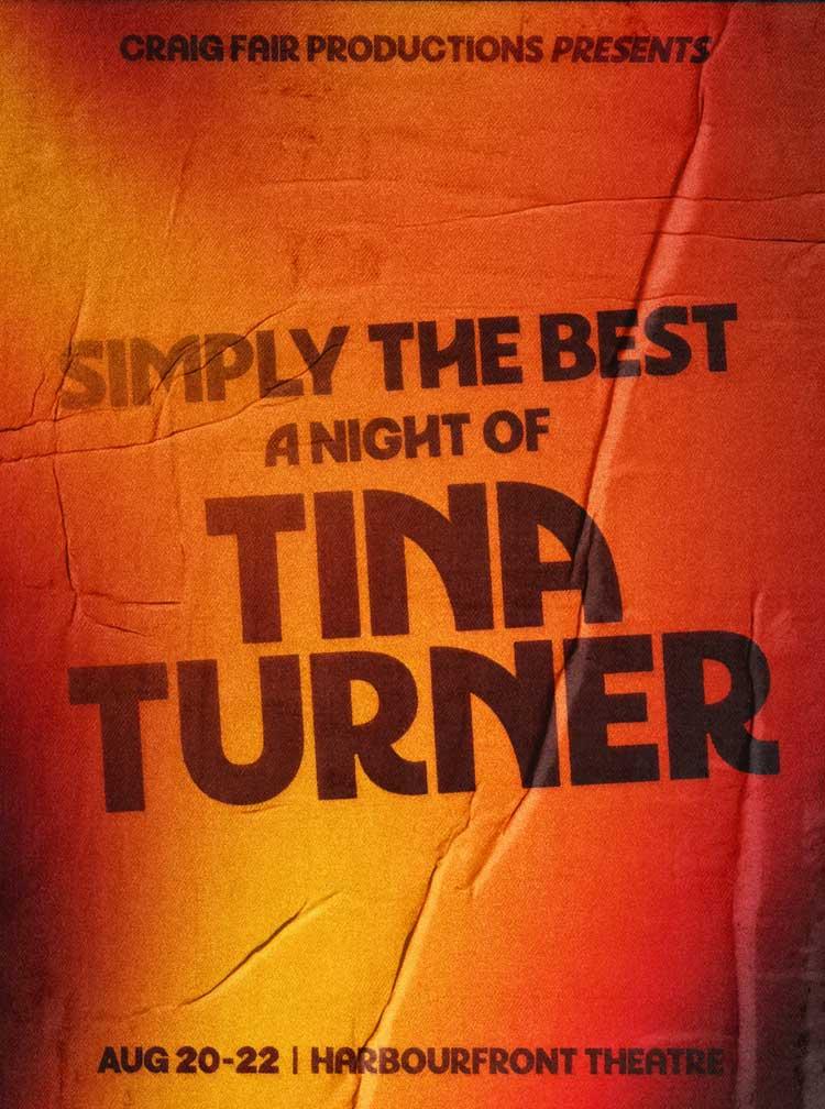 Tina-Turner---Website